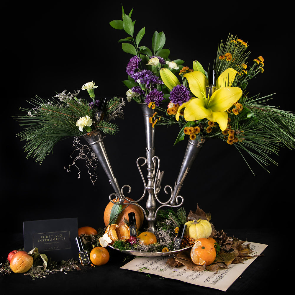 
                      
                        FORÊT AUX INSTRUMENTS: Une Symphonie d'Odeurs | Limited Edition Box Set
                      
                    