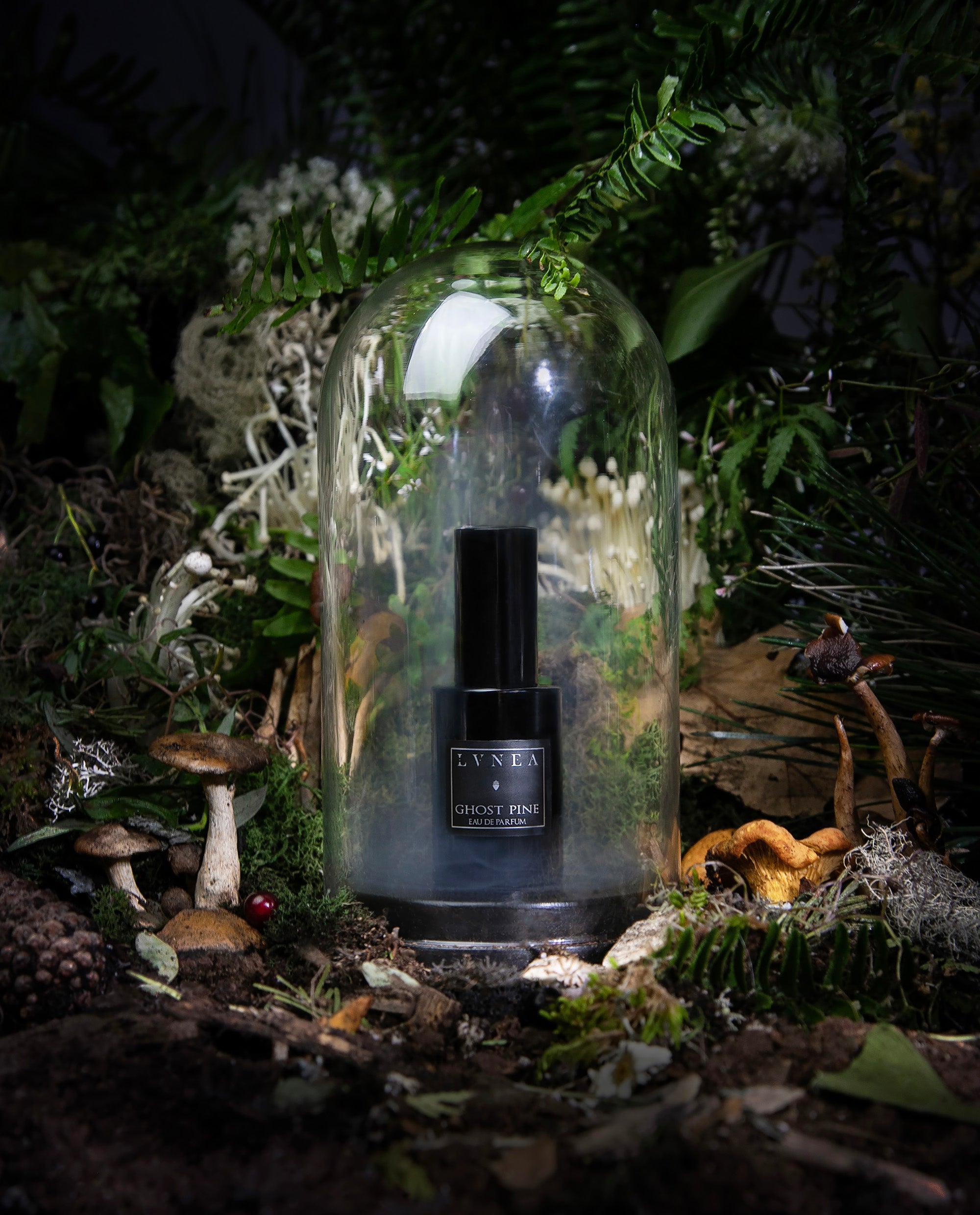 LVNEA Ghost Pine Eau de Parfum - Thumbnail 2
