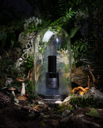 GHOST PINE | Eau de Parfum - pine needles, boreal foliage, damp moss
