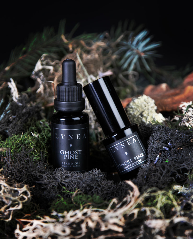 A 20ml bottle of LVNEA's Ghost Pine Beard Oil and a 15ml bottle of Eau de Parfum leaning up against each other, sitting in a bed of moss and pine needles.
