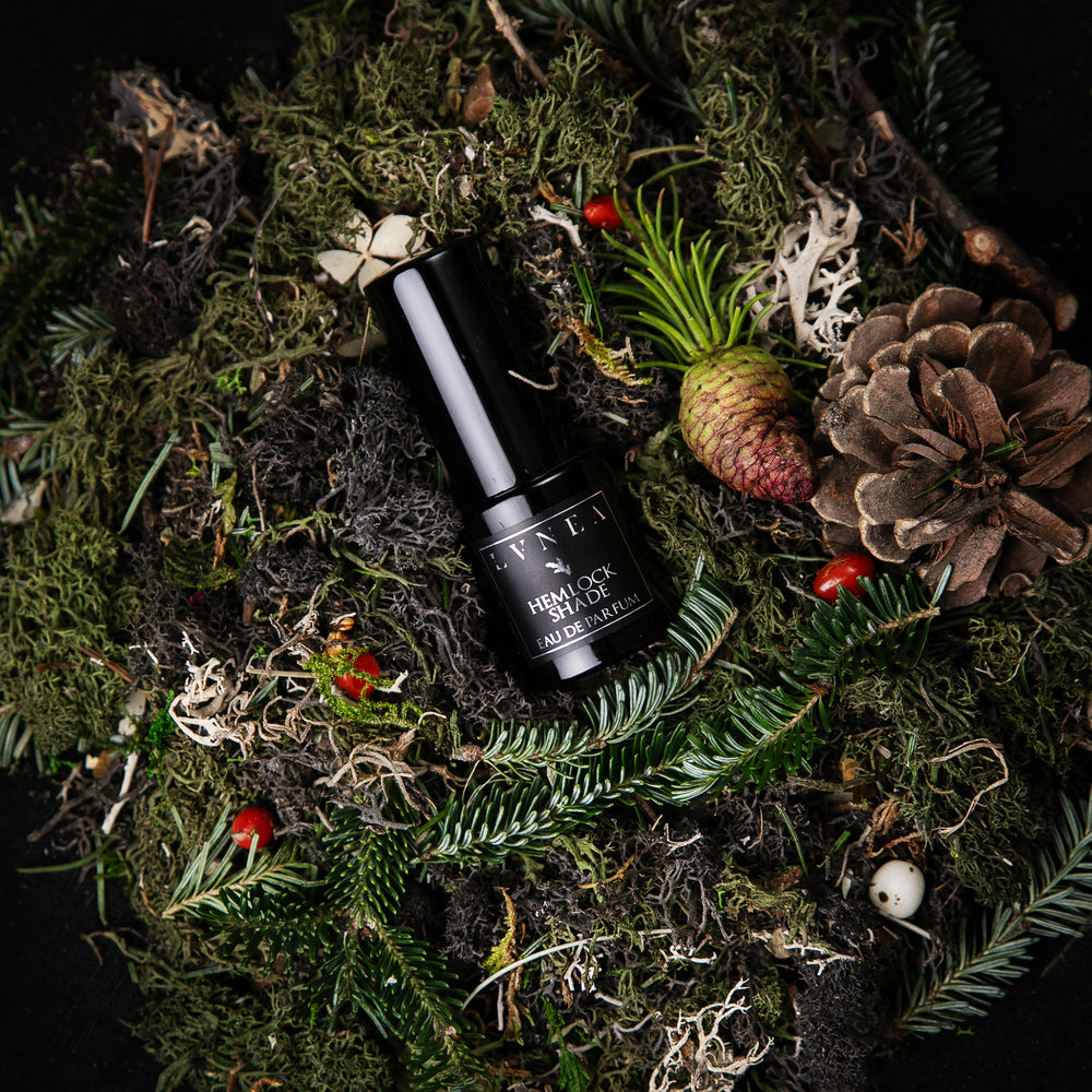 A 15ml black glass bottle of Hemlock Shade Eau de parfum seen from above, nestled amongst moss, pine cones, conifers, and other botanicals.