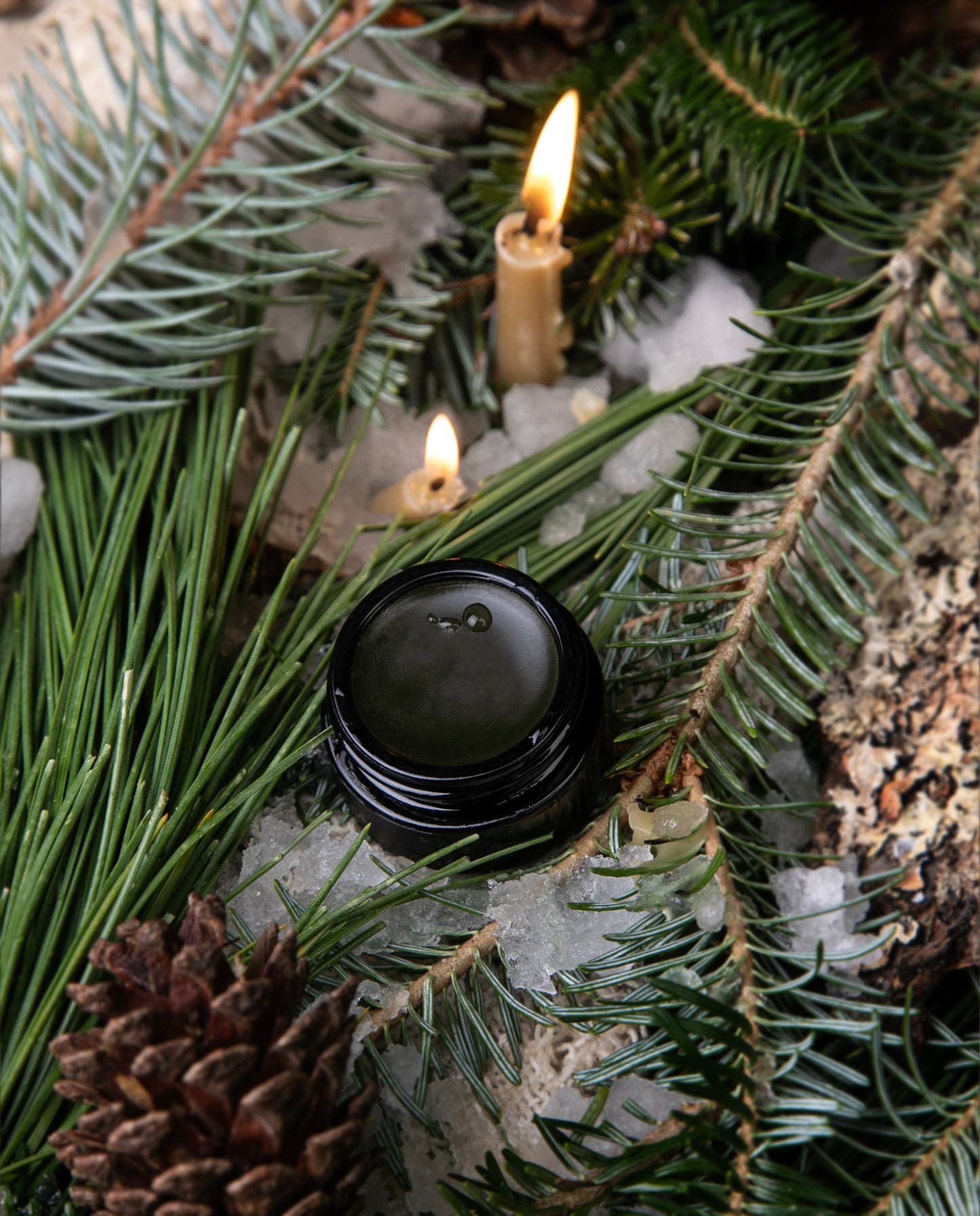 HEMLOCK SHADE | Parfum Crème - black spruce and hemlock groves
