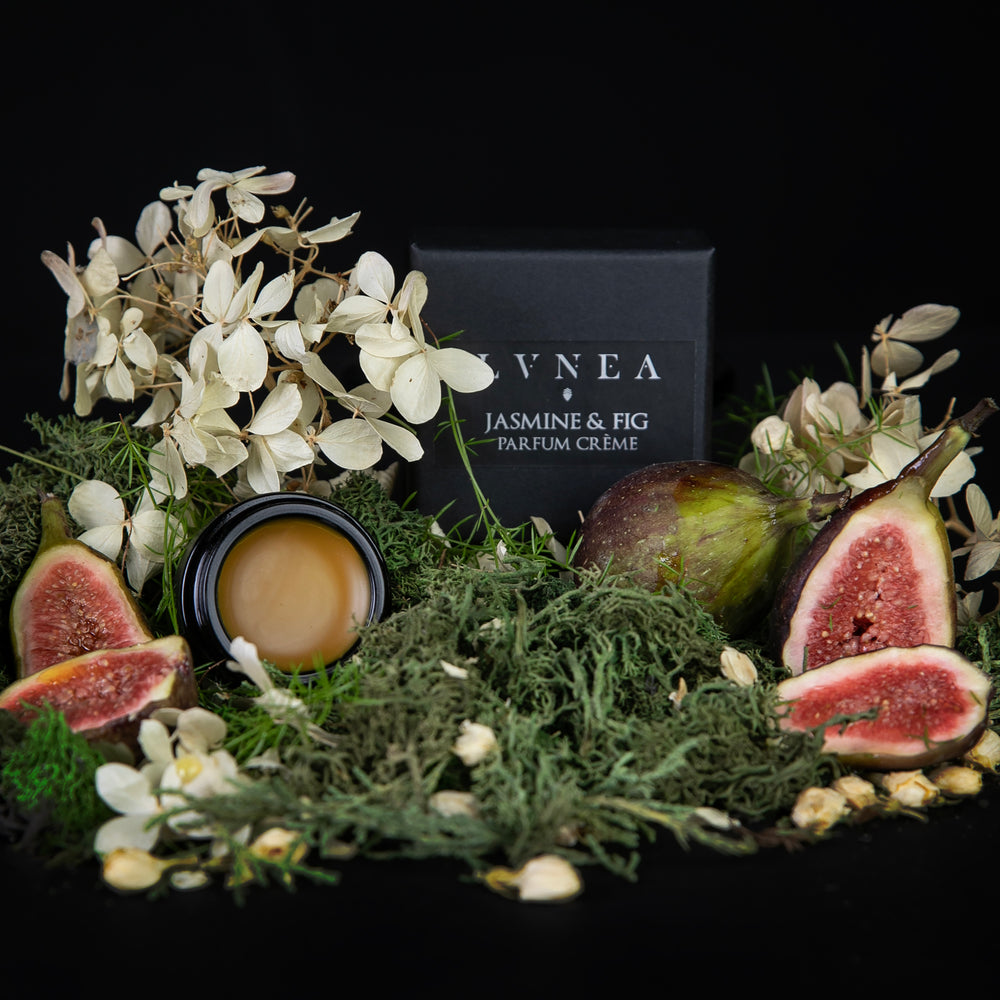 10g black glass pot of LVNEA's 'Jasmine & Fig' solid perfume, lid open to reveal a deep yellow balm. The jar is nestled amongst greenery, white florals, and fresh juicy figs.