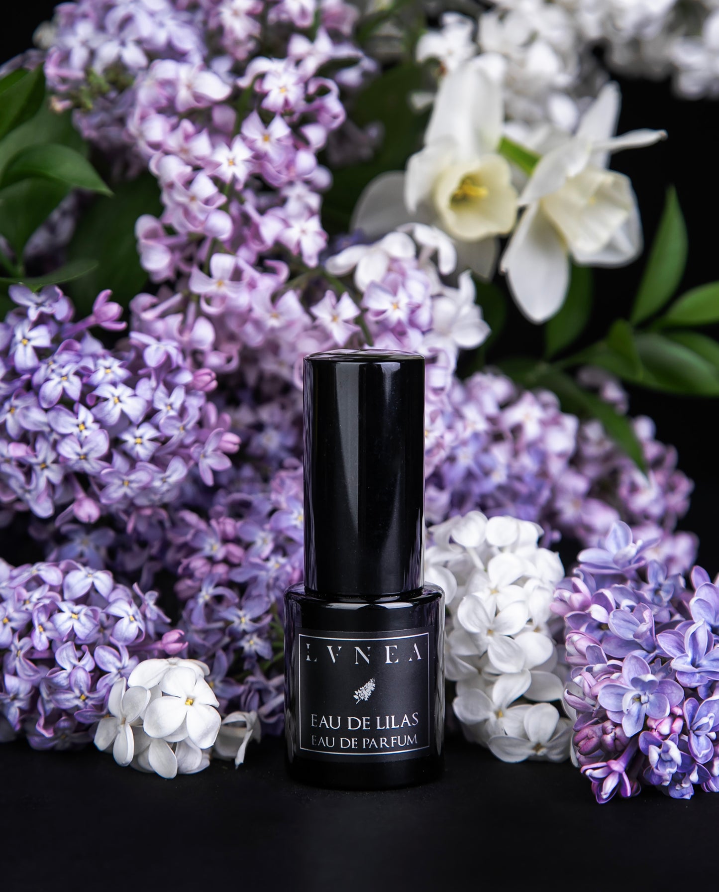 15 ml black glass bottle of LVNEA's limited edition Eau de Lilas perfume, surrounded by fresh lilac blossoms and other florals on black background