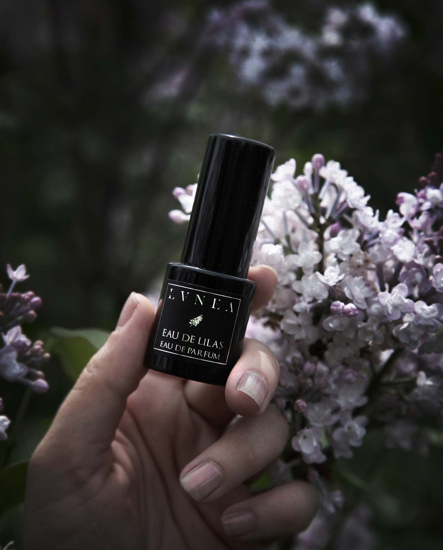 EAU DE LILAS | Limited Edition Eau de Parfum