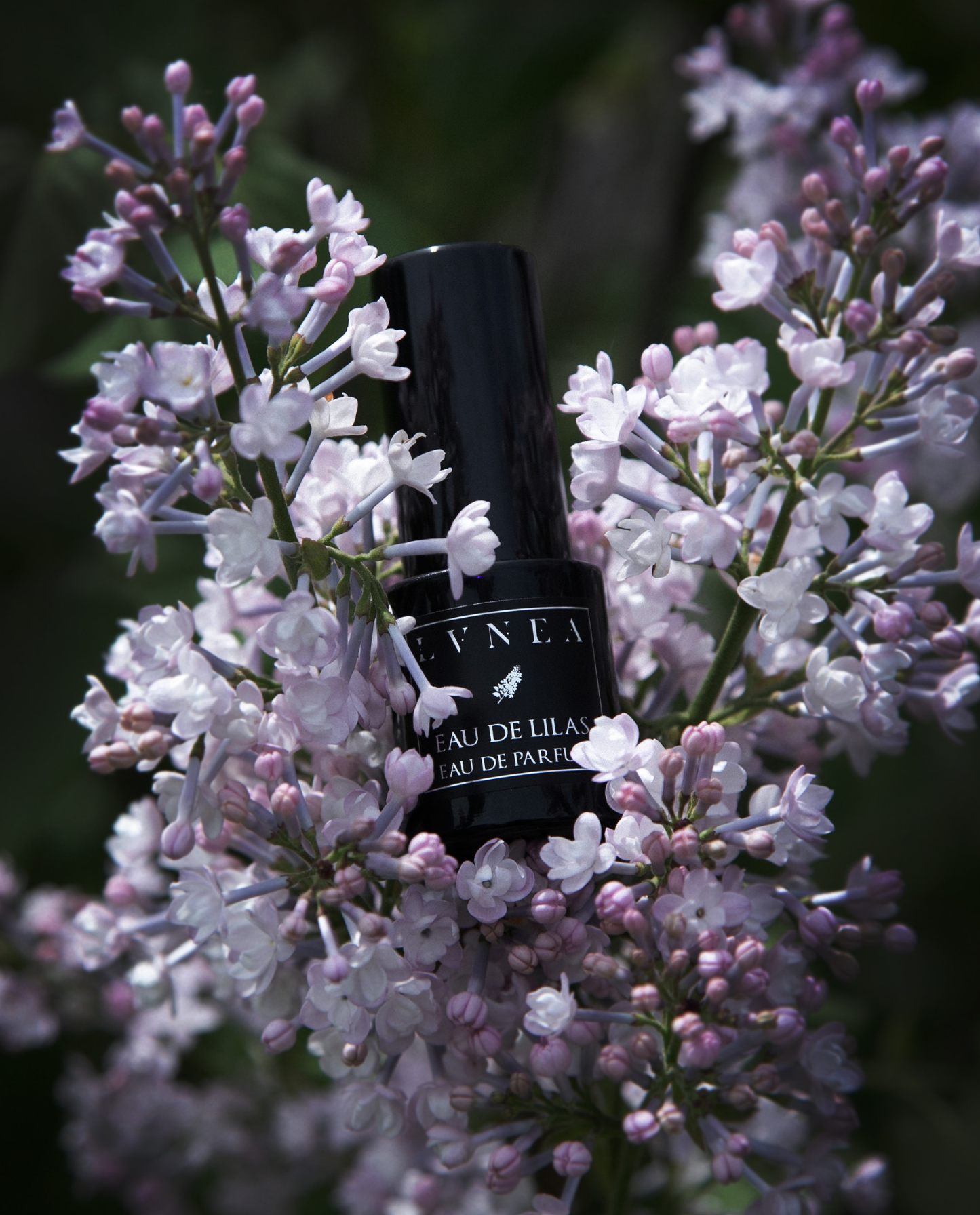 EAU DE LILAS | Limited Edition Eau de Parfum