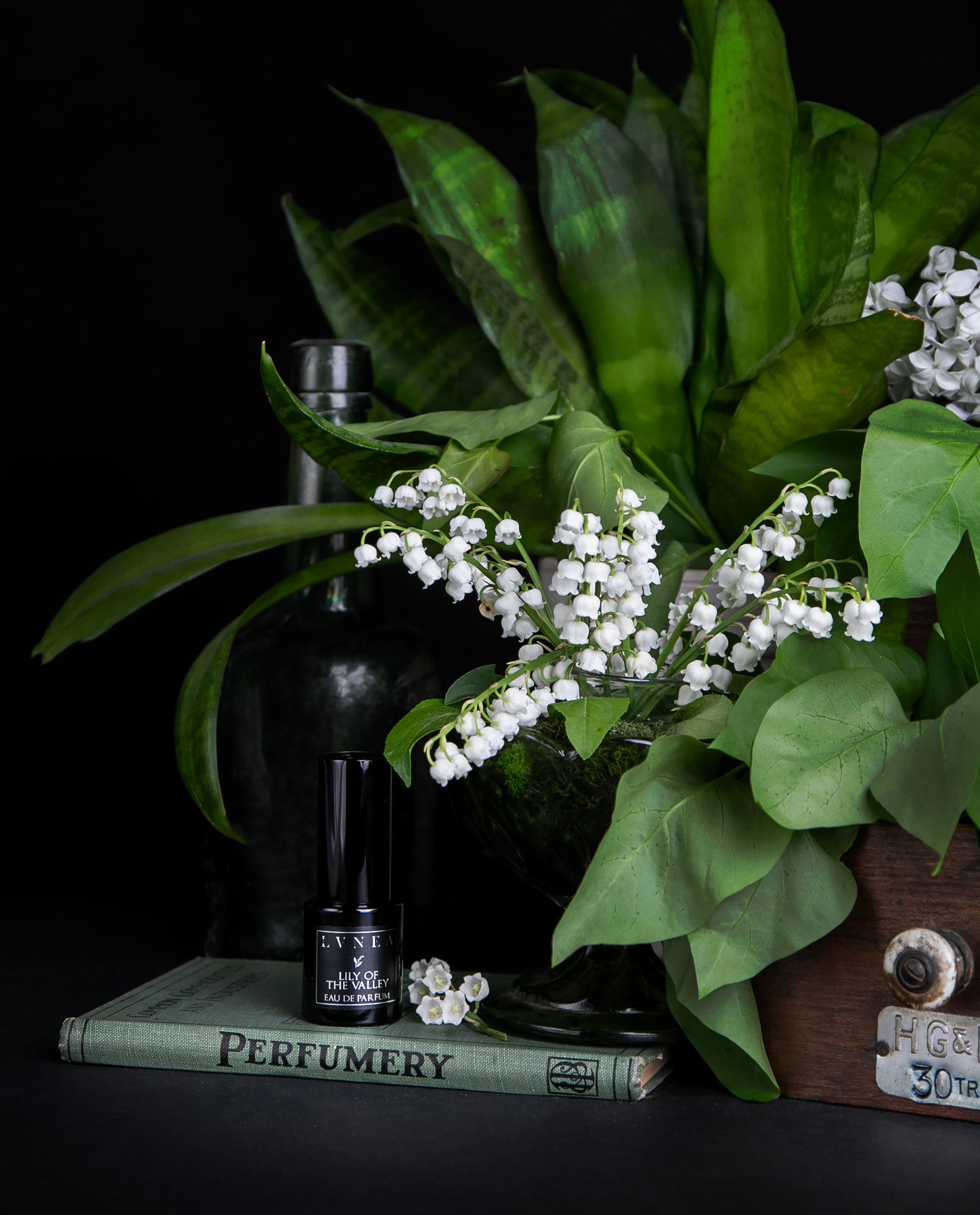 RU-6130　 LILY OF THE VALLEY オードトワレ　100ml RU-6130 LILY OF THE VALLEY オードトワレ 100ml Lily of the