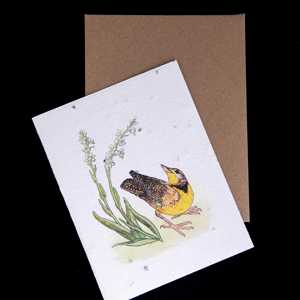 
                      
                        meadowlark greeting card sitting atop its kraft paper envelope
                      
                    