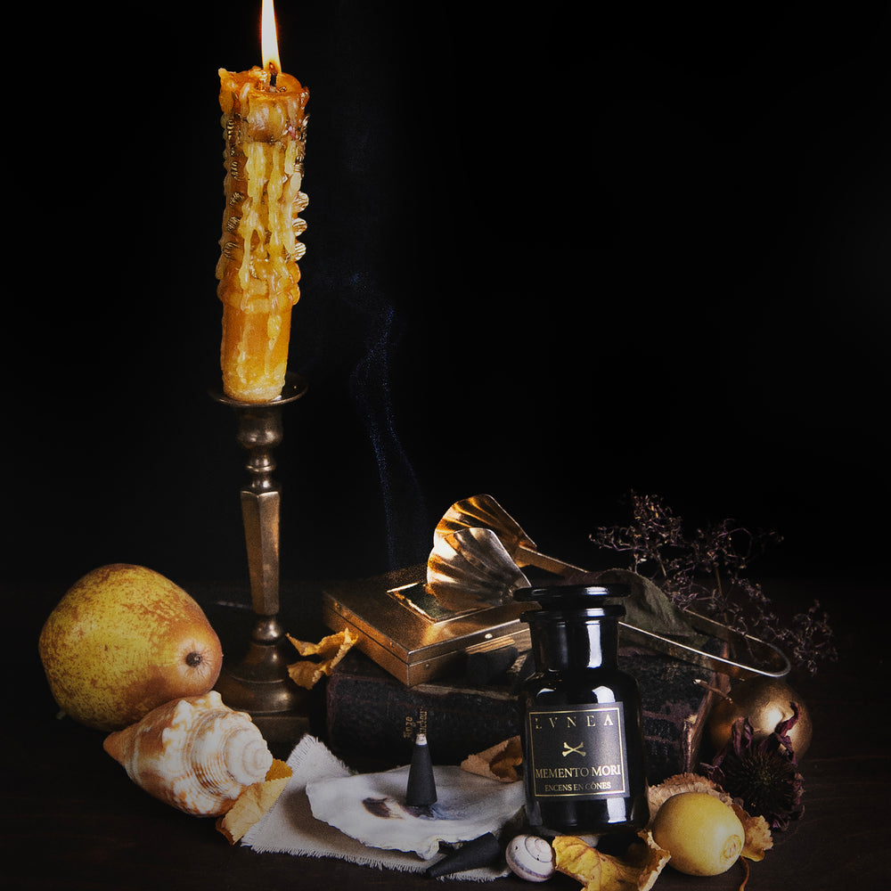 
                      
                        Still Life With... | Limited Edition Fall Seasonal Box
                      
                    