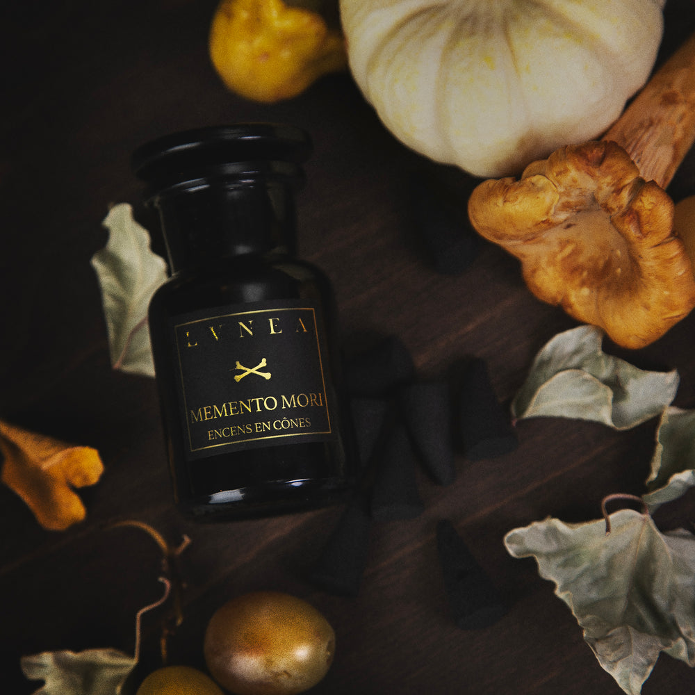
                      
                        Still Life With... | Limited Edition Fall Seasonal Box
                      
                    