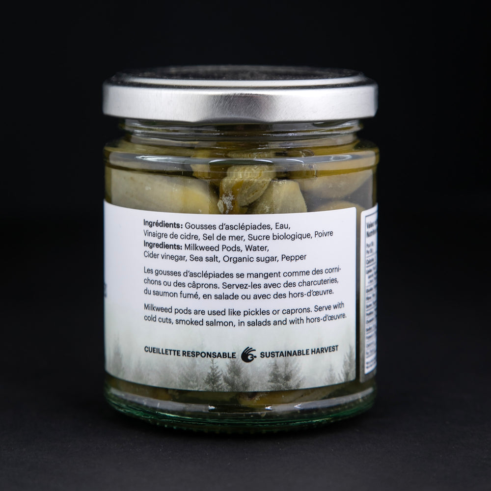 back label of a jar of milkweed pods against a black background