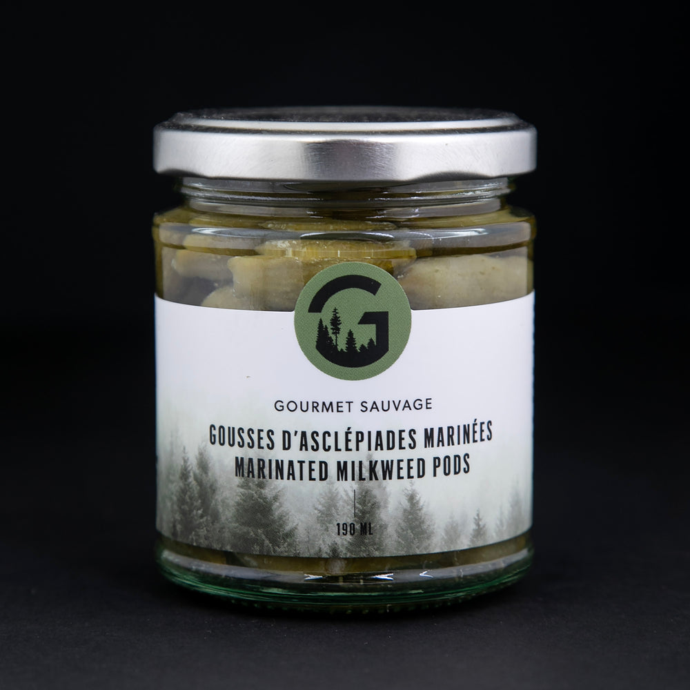 marinated milkweed pods in a glass jar against a black background