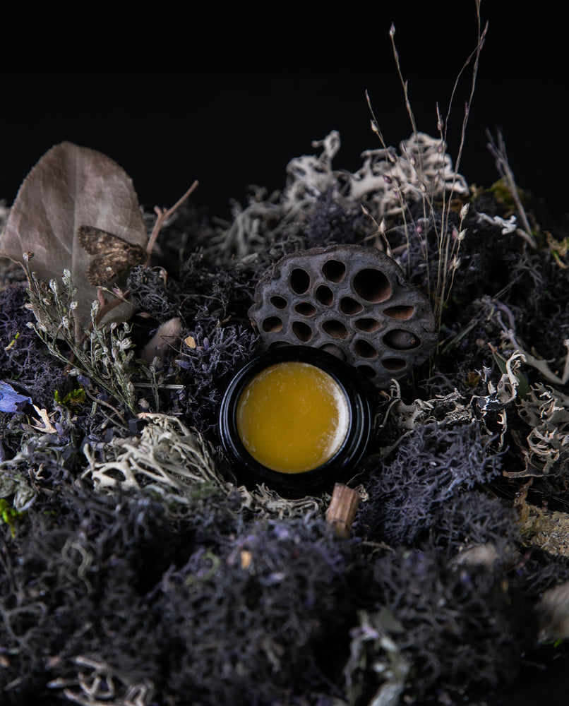 10g black glass jar of LVNEA's 'Moon Moss' vegan solid perfume, sitting next to its black box on a black wooden surface.