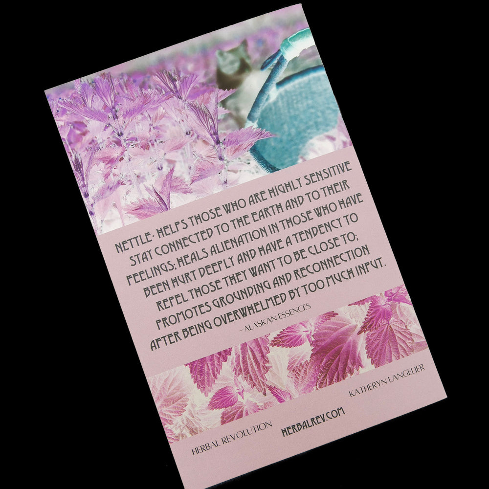 Back view of Herbal Revolution's "Nettle" zine on black background