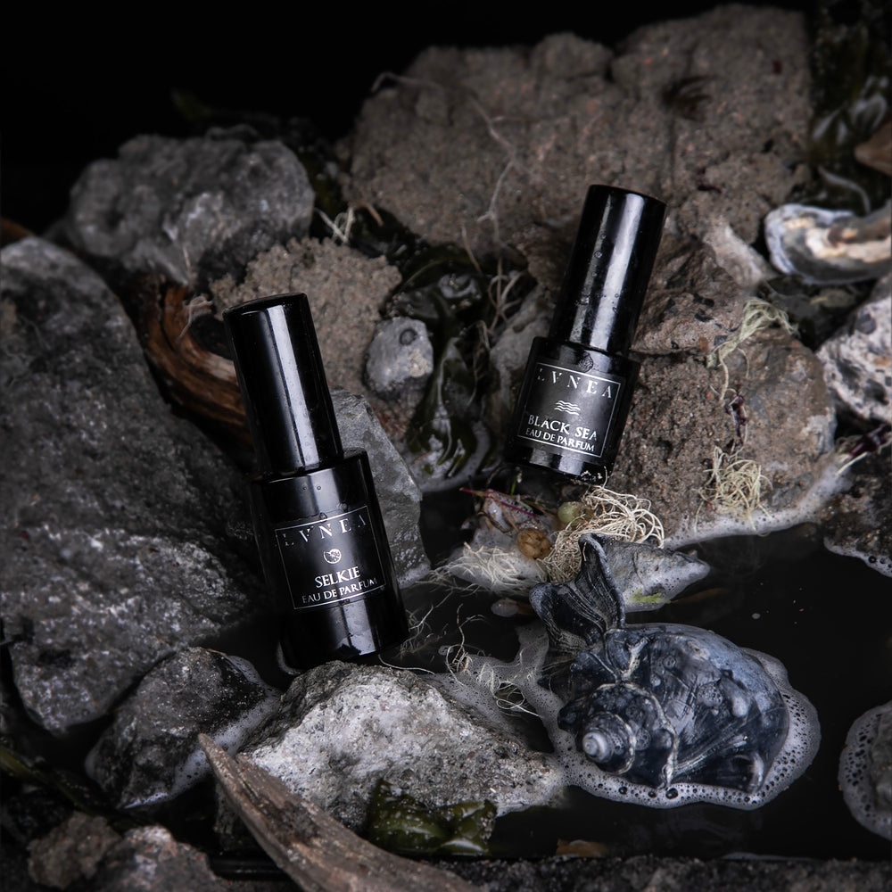 
                      
                        Bottles of LVNEA's cult classic marine fragrances "Selkie" and "Black Sea" against a textured grey background of rocks and shells
                      
                    