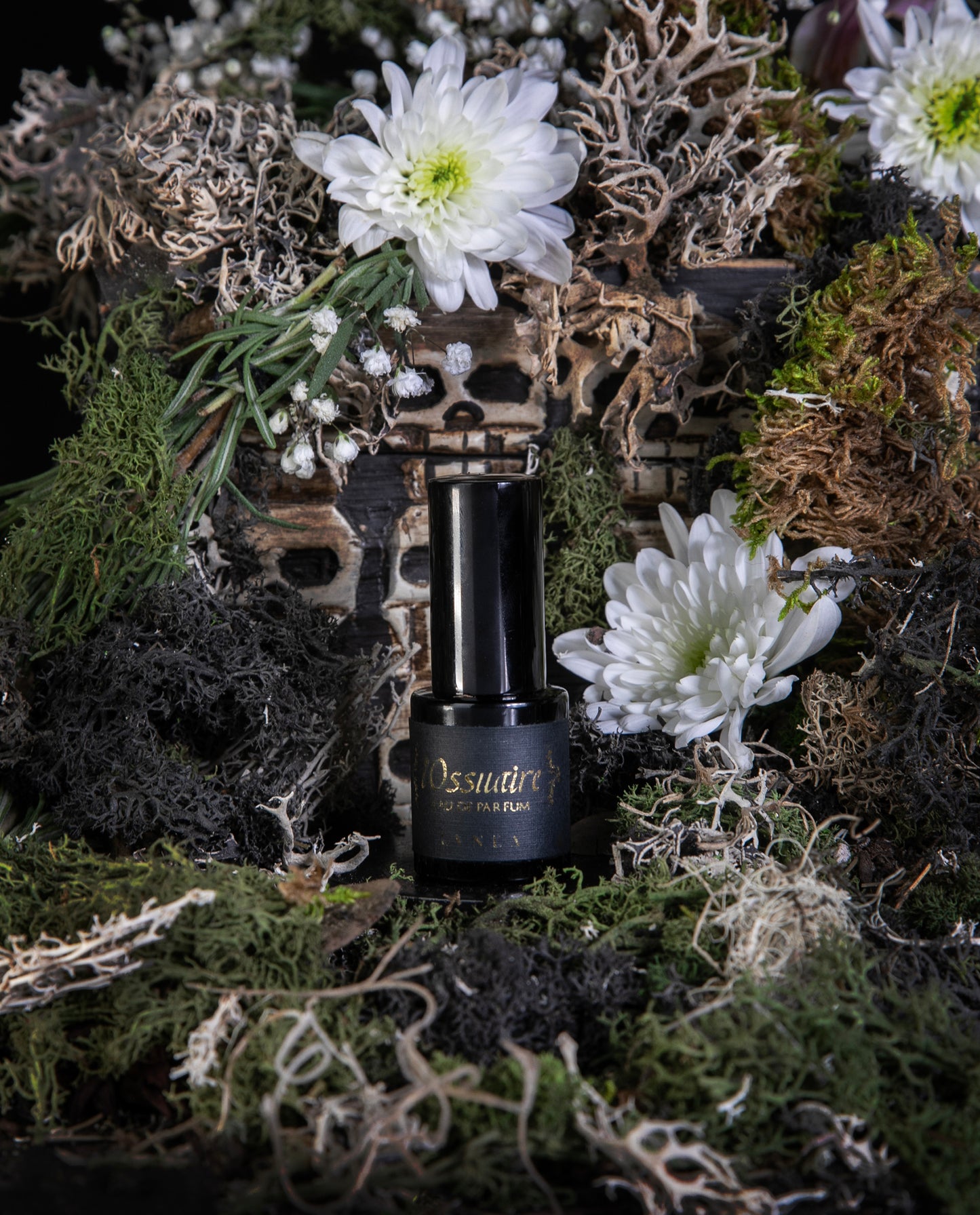 L'OSSUAIRE Limited Edition Eau de Parfum | incense, chrysanthemum, oakmoss