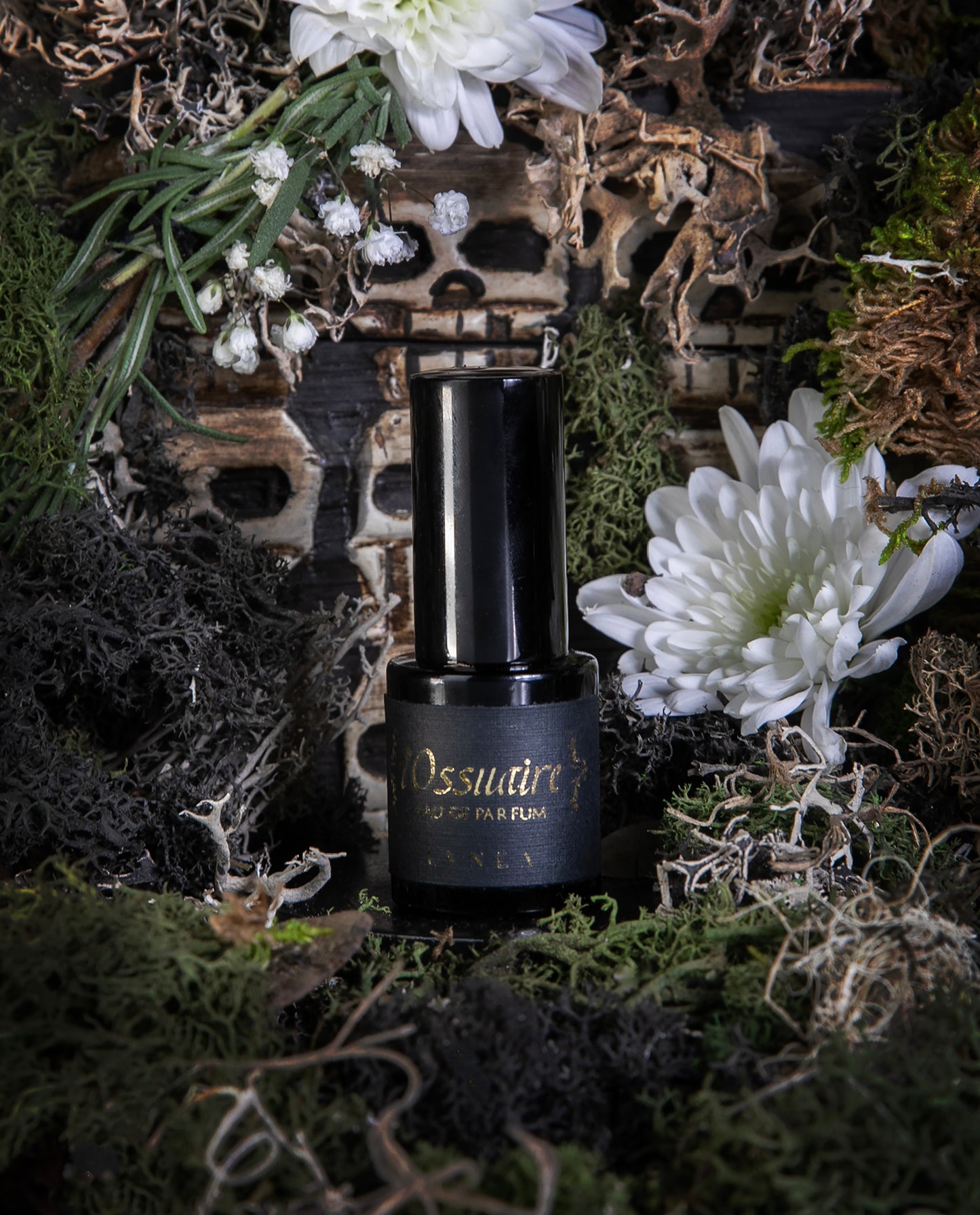 L'OSSUAIRE Limited Edition Eau de Parfum | incense, chrysanthemum, oakmoss