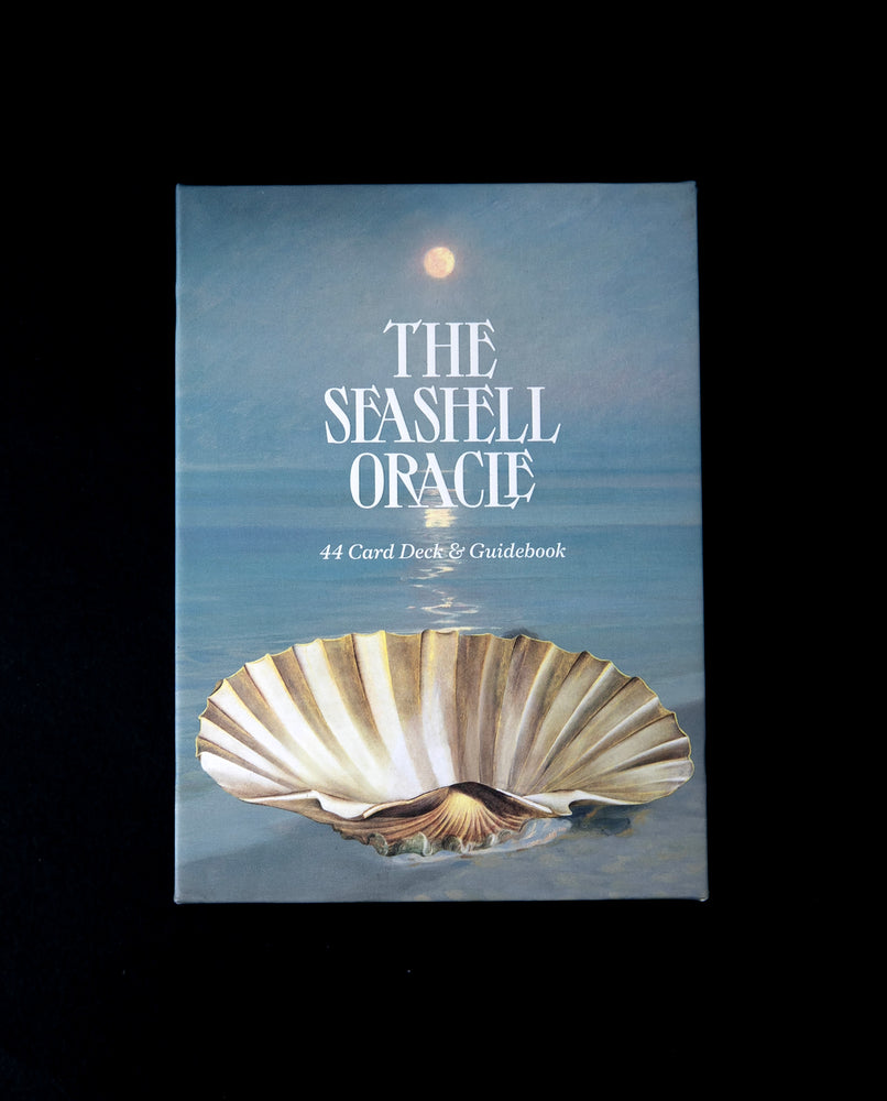 The Seashell Oracle Deck | BROCCOLI