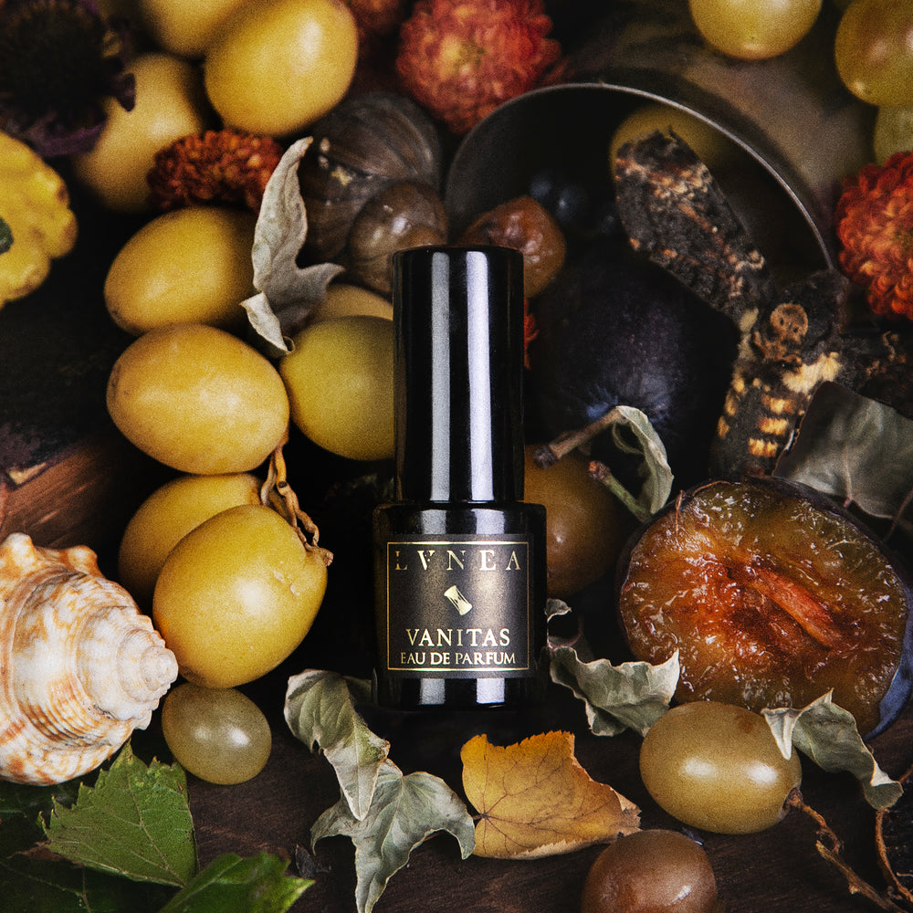 Vanitas Eau de Parfum bottle surrounded by grapes, leaves, and other natural elements on a dark background.
