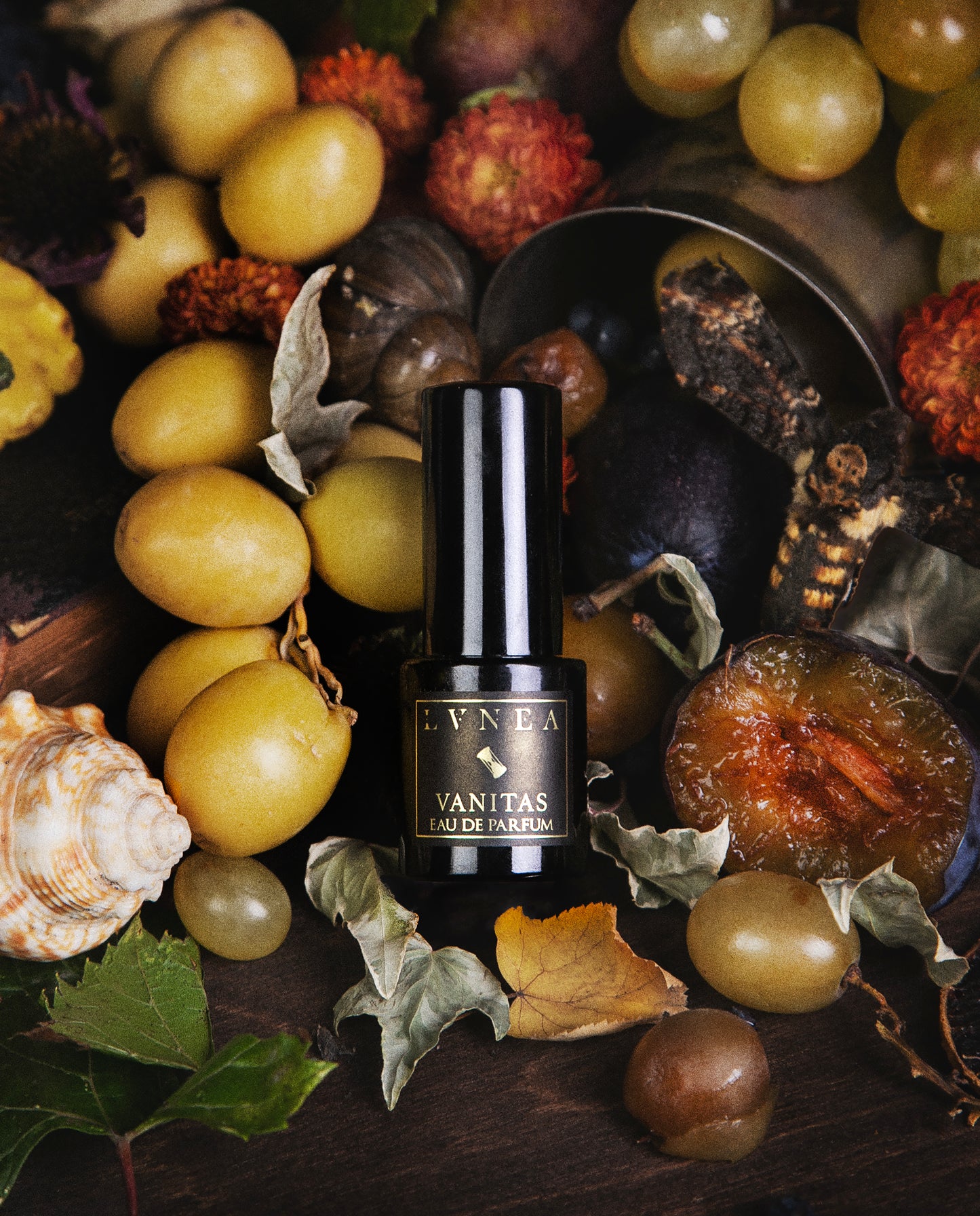 Vanitas Eau de Parfum bottle surrounded by grapes, leaves, and other natural elements on a dark background.