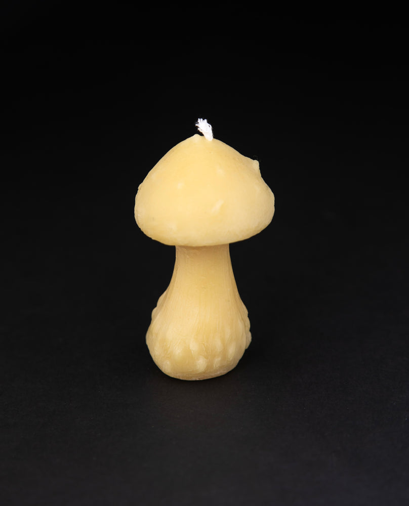 Small mushroom-shaped beeswax candle, standing upright against a black background.