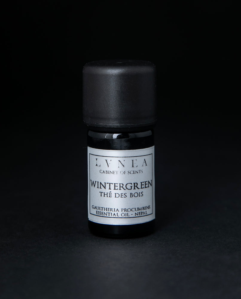 WINTERGREEN | Essential Oil