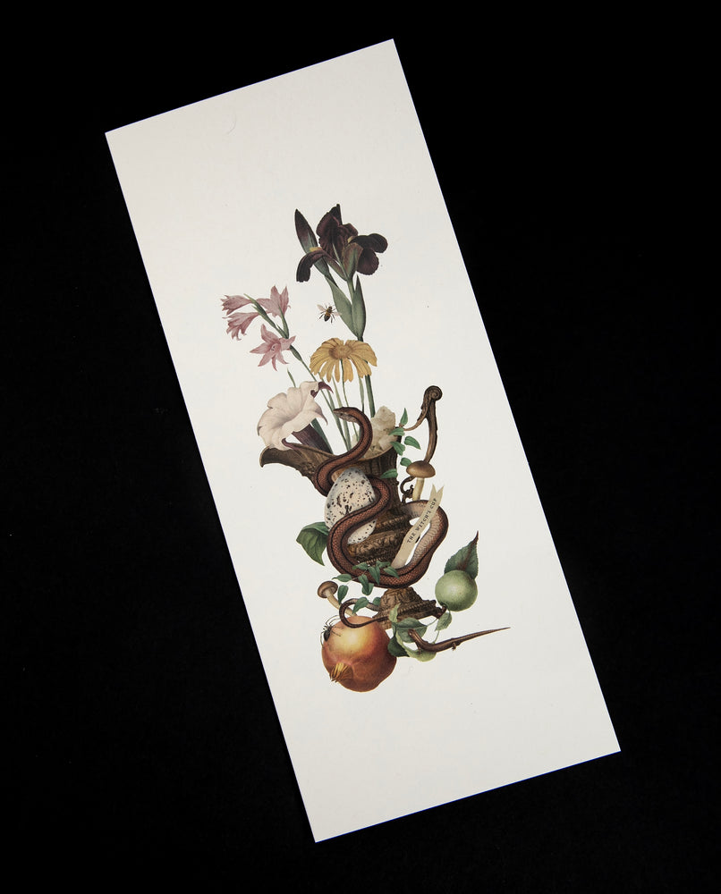The Witch's Cup Greeting Card | OPEN SEA DESIGN CO.