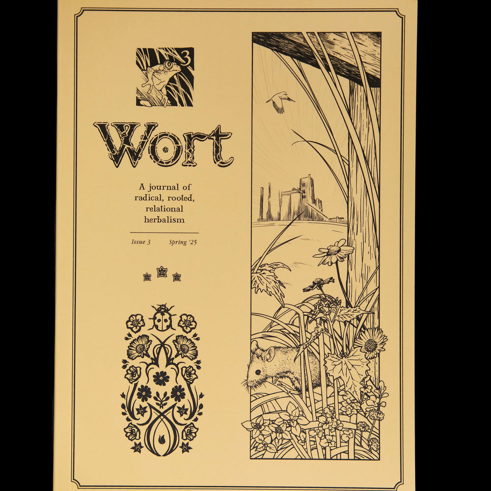 zine with yellow cover, featuring art nouveau style illustrations