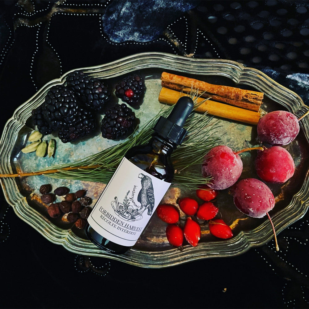Forbidden Harvest Elixir | BLUEBERRYJAMS
