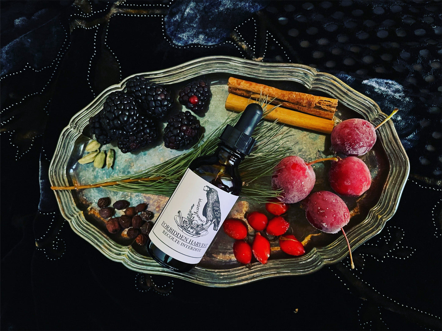 Forbidden Harvest Elixir | BLUEBERRYJAMS