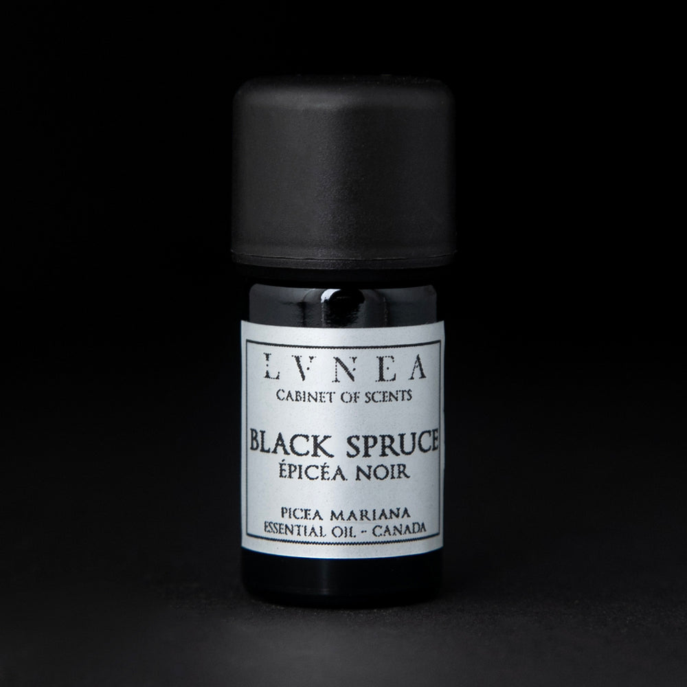 5ml black glass bottle of LVNEA's black spruce essential oil on black background. The label on the bottle is silver.