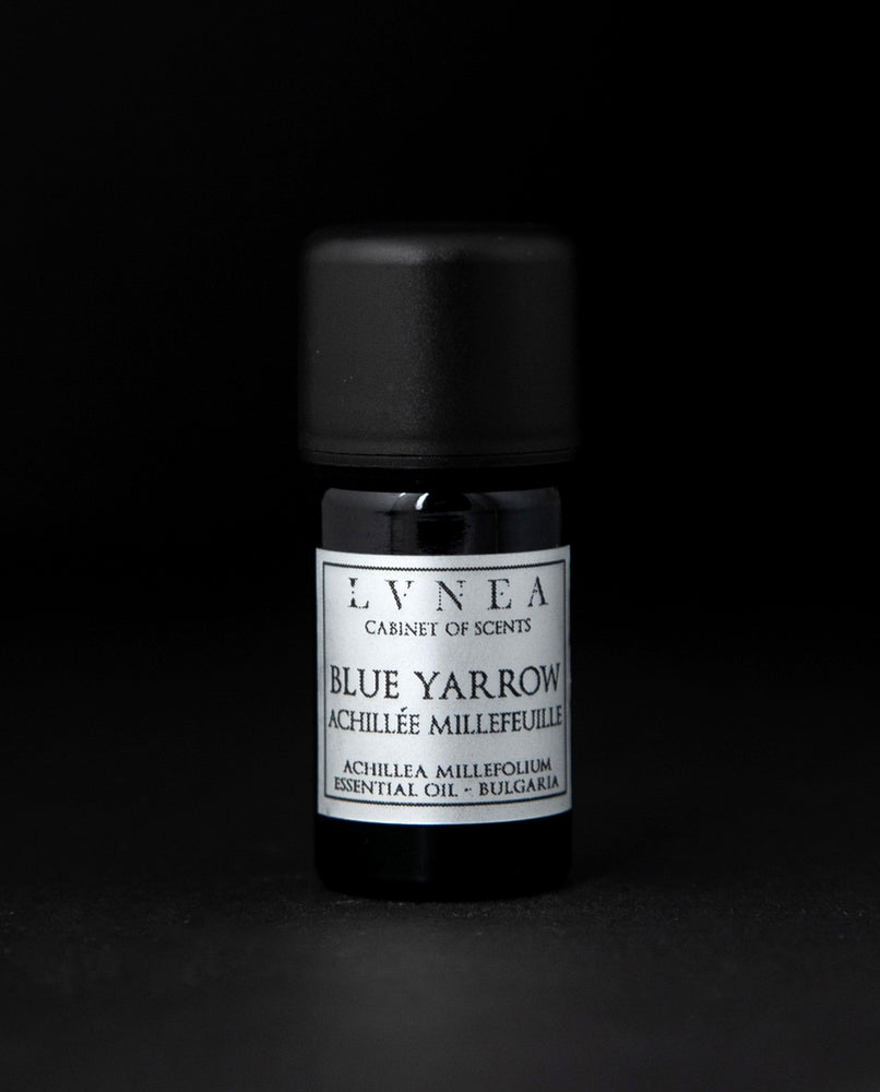 YARROW, BLUE | Essential Oil