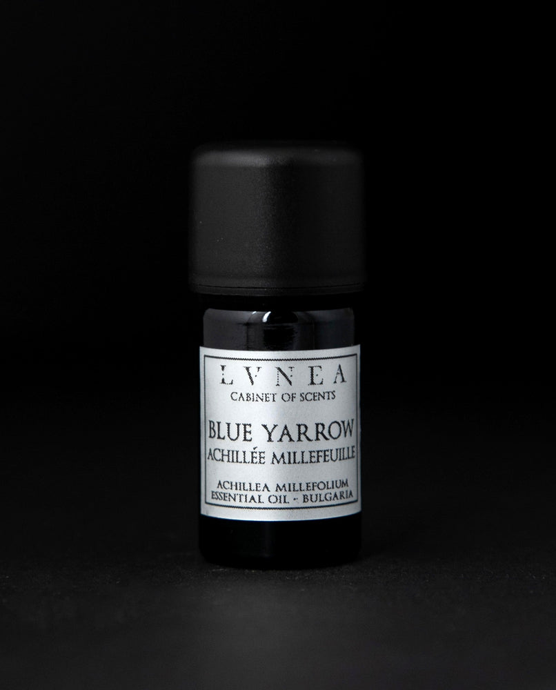 YARROW, BLUE ESSENTIAL OIL | Pure Plant Extract