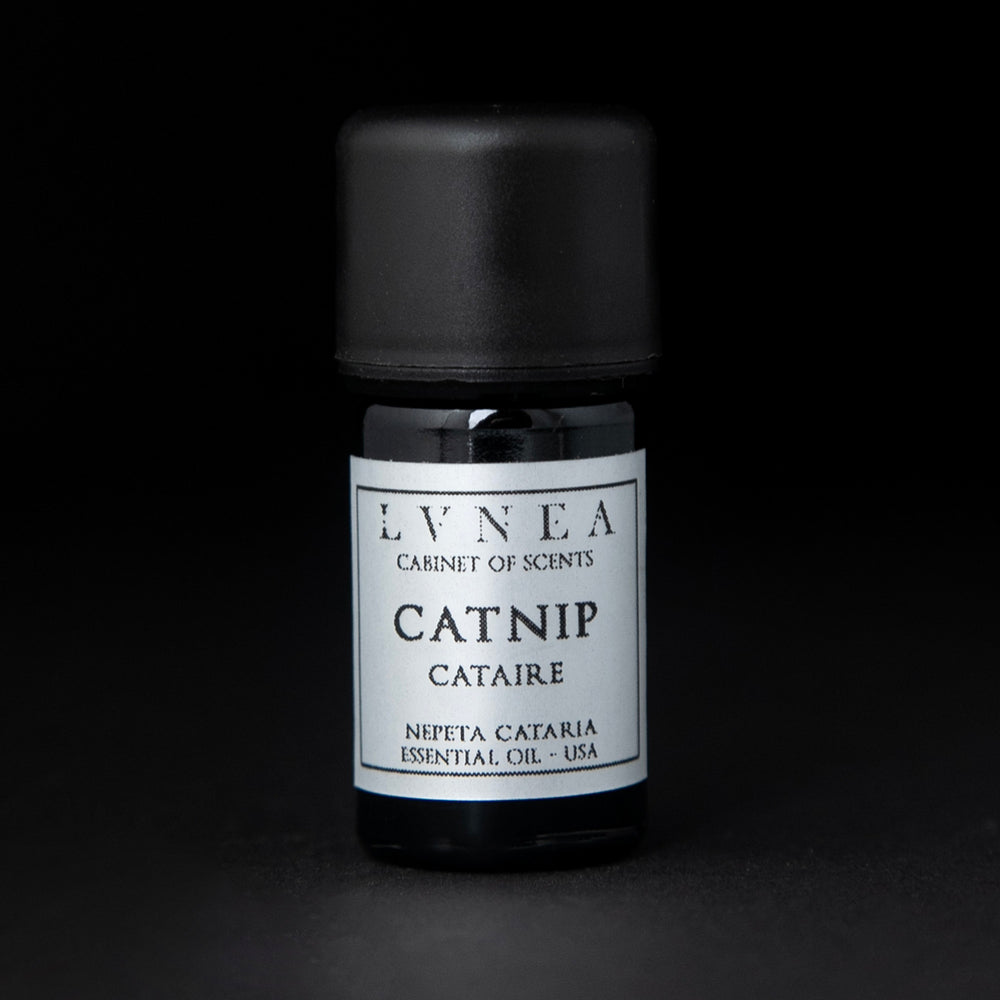 
                      
                        5ml black glass bottle with silver label of LVNEA's catnip essential oil on black background
                      
                    