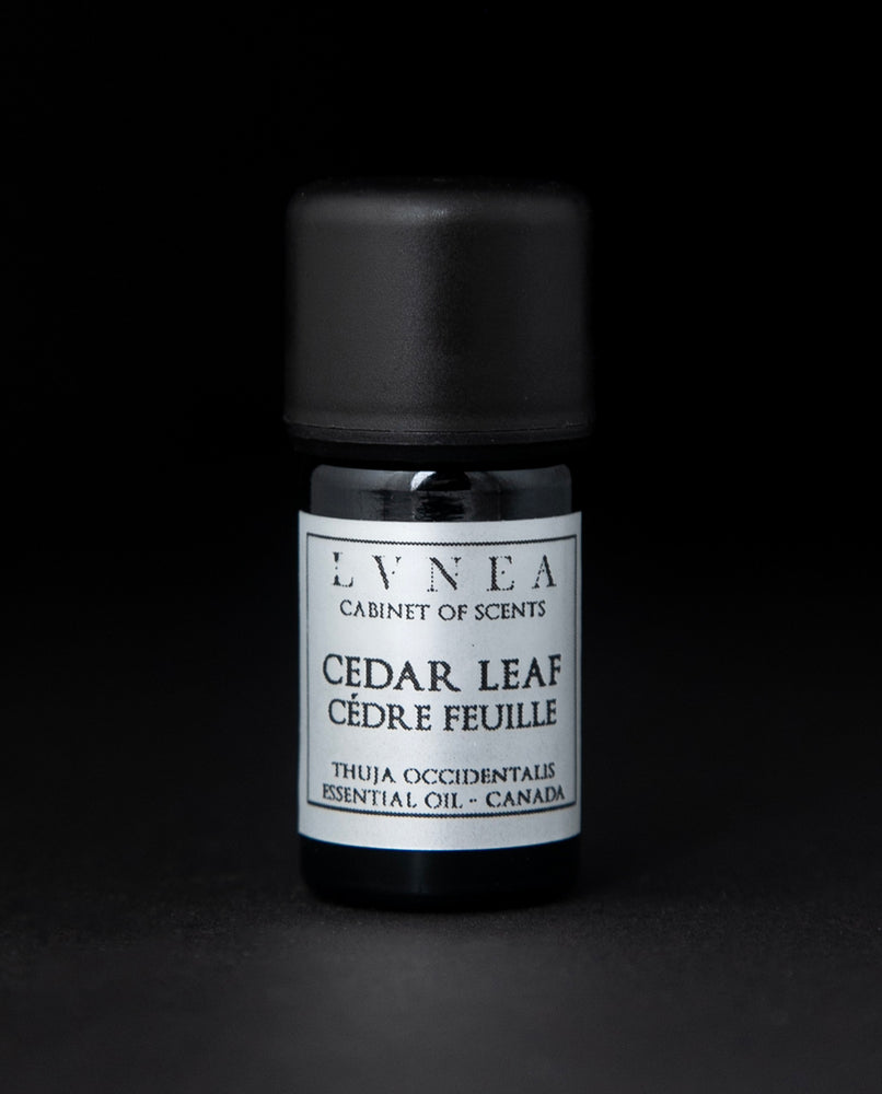5ml black glass bottle with silver label of LVNEA's cedar leaf essential oil on black background