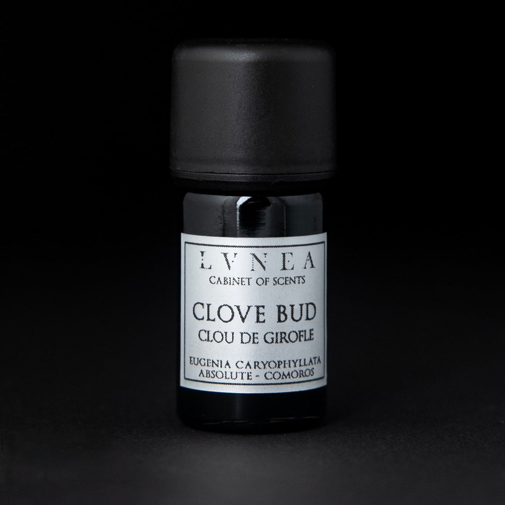 5ml black glass bottle with silver label of LVNEA's clove bud absolute on black background