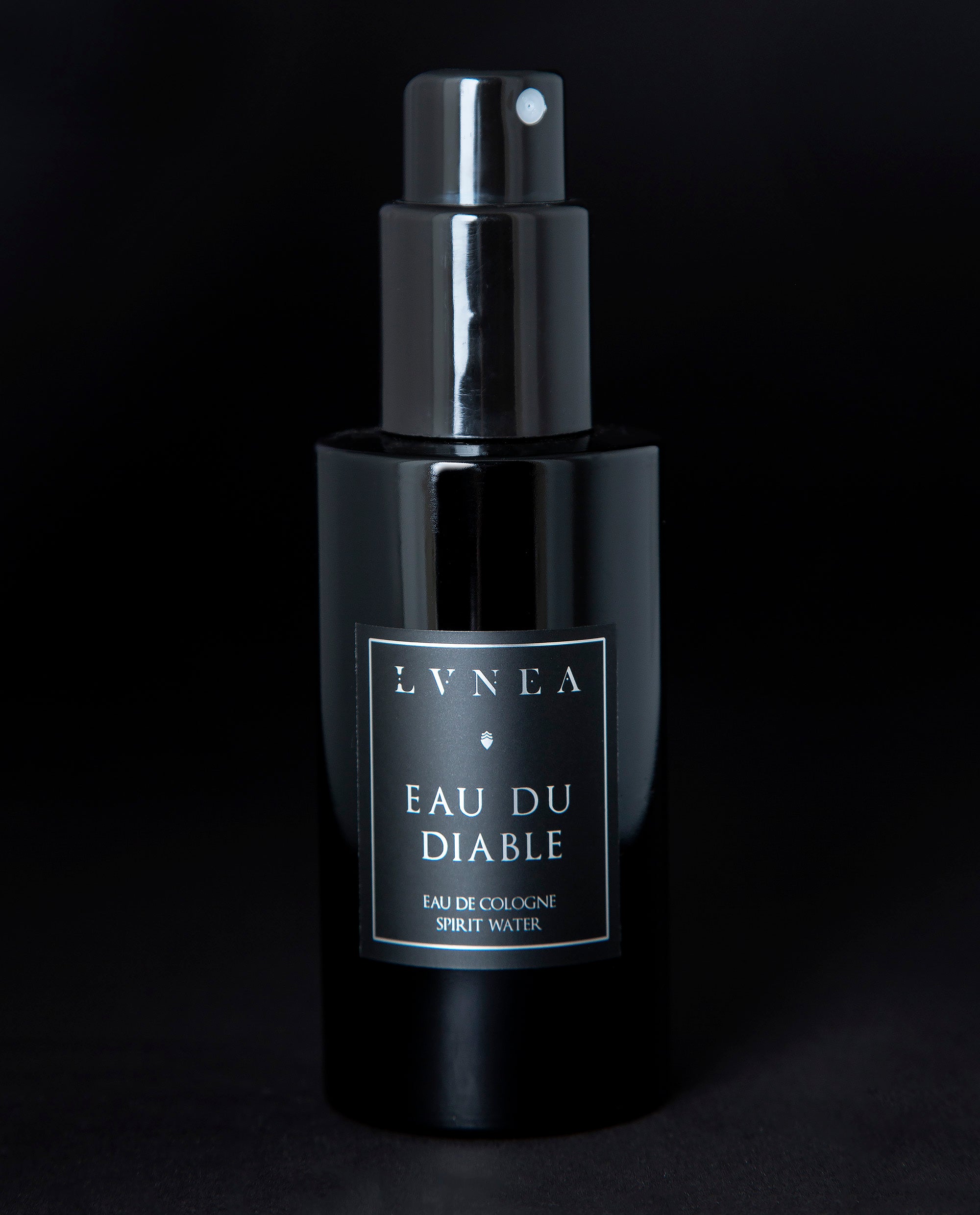 BLACK CITRUS – Vilhelm Parfumerie US