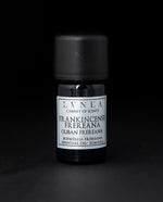 5ml black glass bottle with silver label of LVNEA's frankincense frereana essential oil on black background