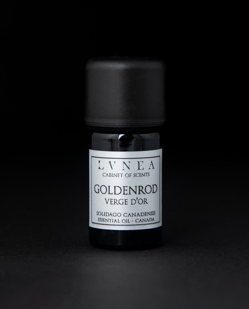 GOLDENROD | Essential Oil