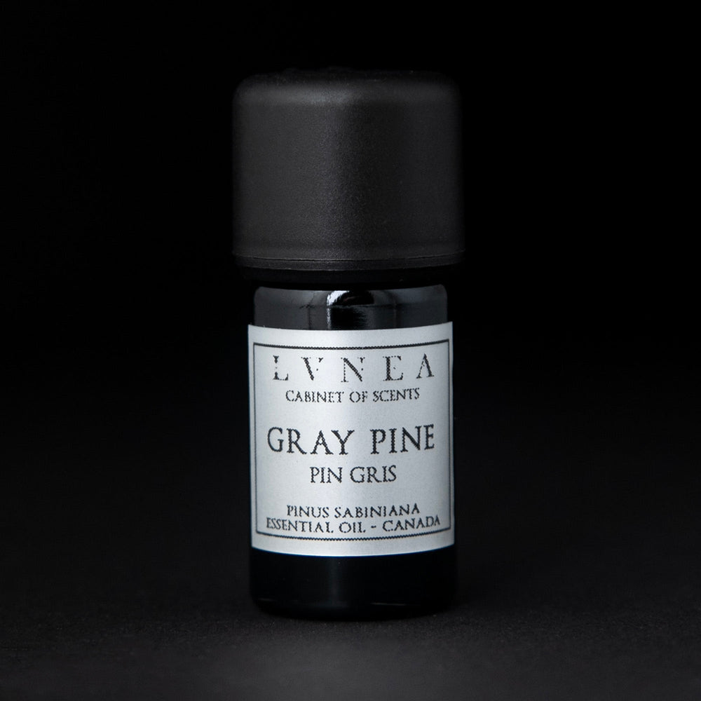 5ml black glass bottle of LVNEA's gray pine essential oil on black background. The label on the bottle is silver.