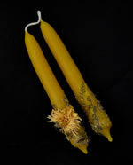 Pair of beeswax tapers adorned with dried yarrow and calendula on a black background.