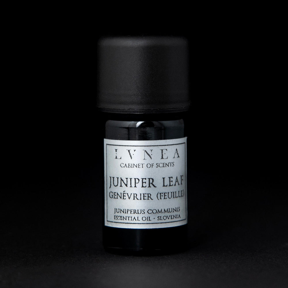 
                      
                        5ml black glass bottle of LVNEA's juniper leaf essential oil on black background. The label on the bottle is silver.
                      
                    