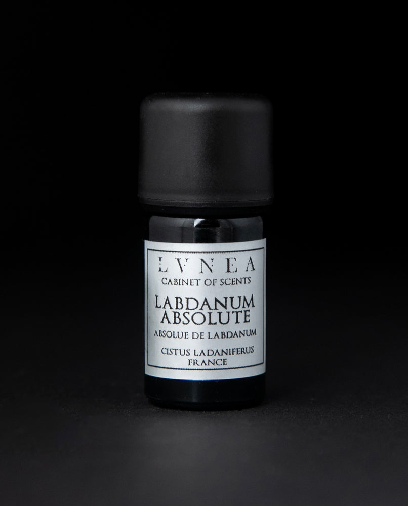 5ml black glass bottle of LVNEA's labdanum absolute on black background. The label on the bottle is silver.