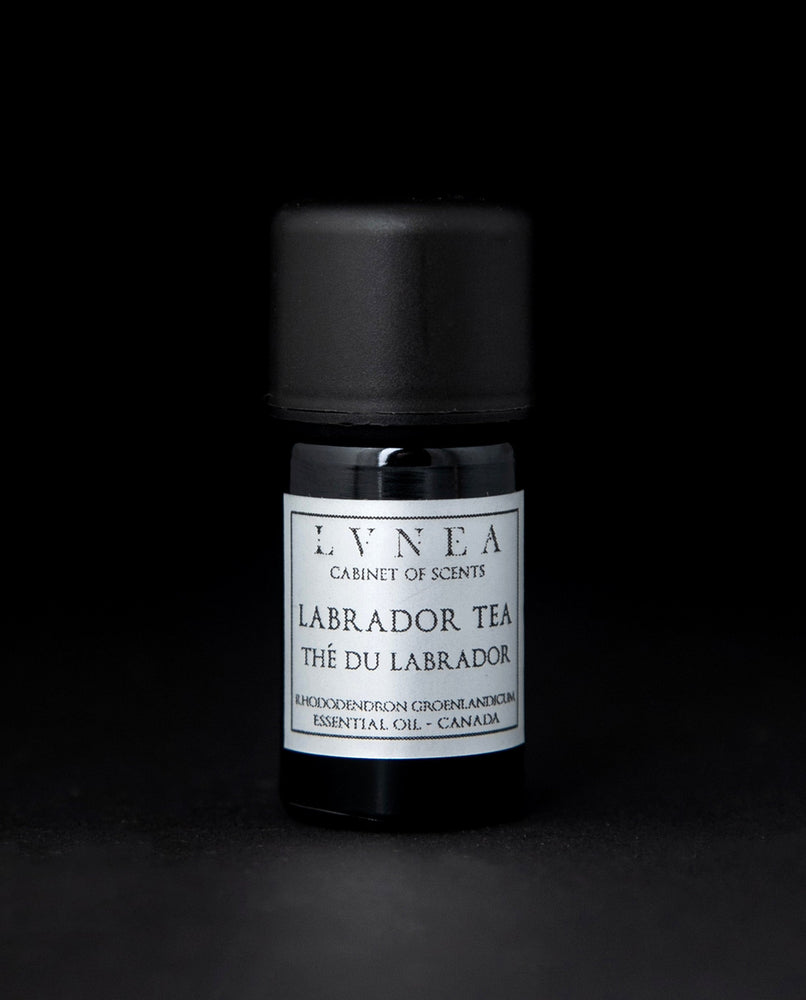 5ml black glass bottle of LVNEA's labrador tea essential oil on black background. The label on the bottle is silver.