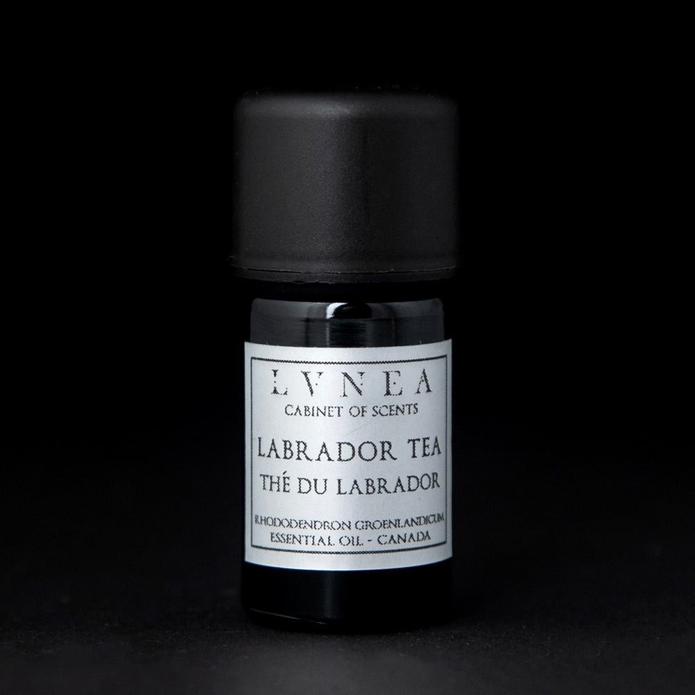5ml black glass bottle of LVNEA's labrador tea essential oil on black background. The label on the bottle is silver.