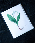 white greeting card with botanical illustration of lily of the valley on the front.