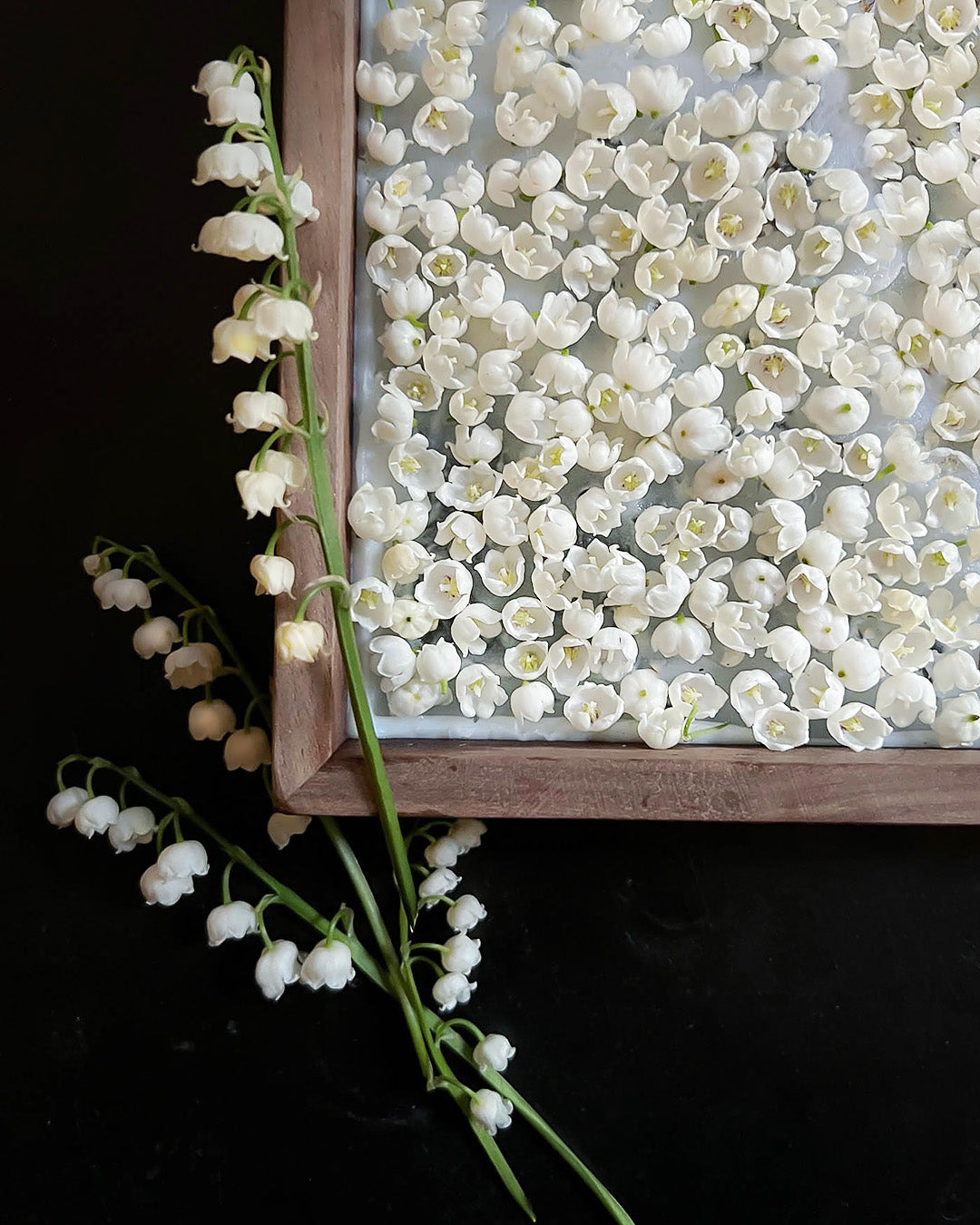 RU-6130　 LILY OF THE VALLEY オードトワレ　100ml RU-6130 LILY OF THE VALLEY オードトワレ 100ml Lily of the