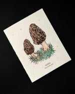 cream-coloured greeting card with a botanical illustration of morel mushrooms. The cardstock is textured and studded with seeds.