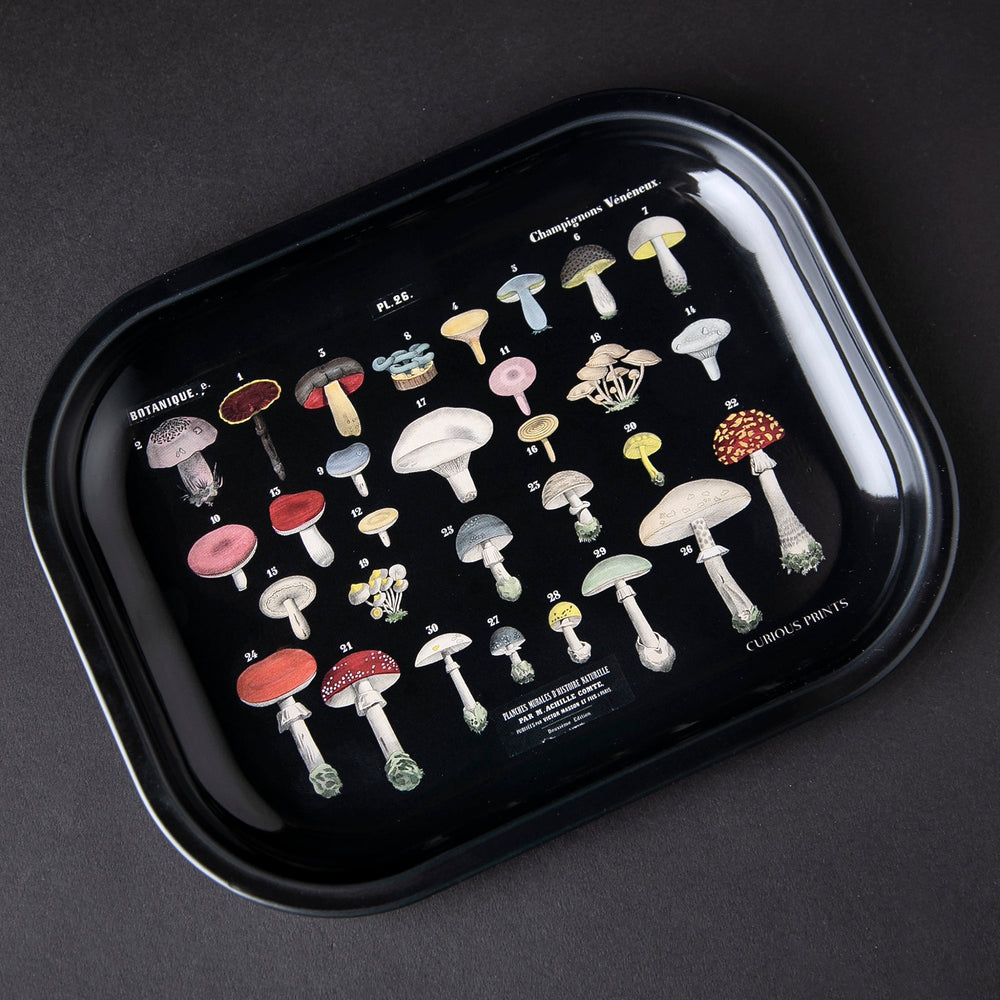 Black enameled metal tray with vintage-style illustrations of mushrooms on it.