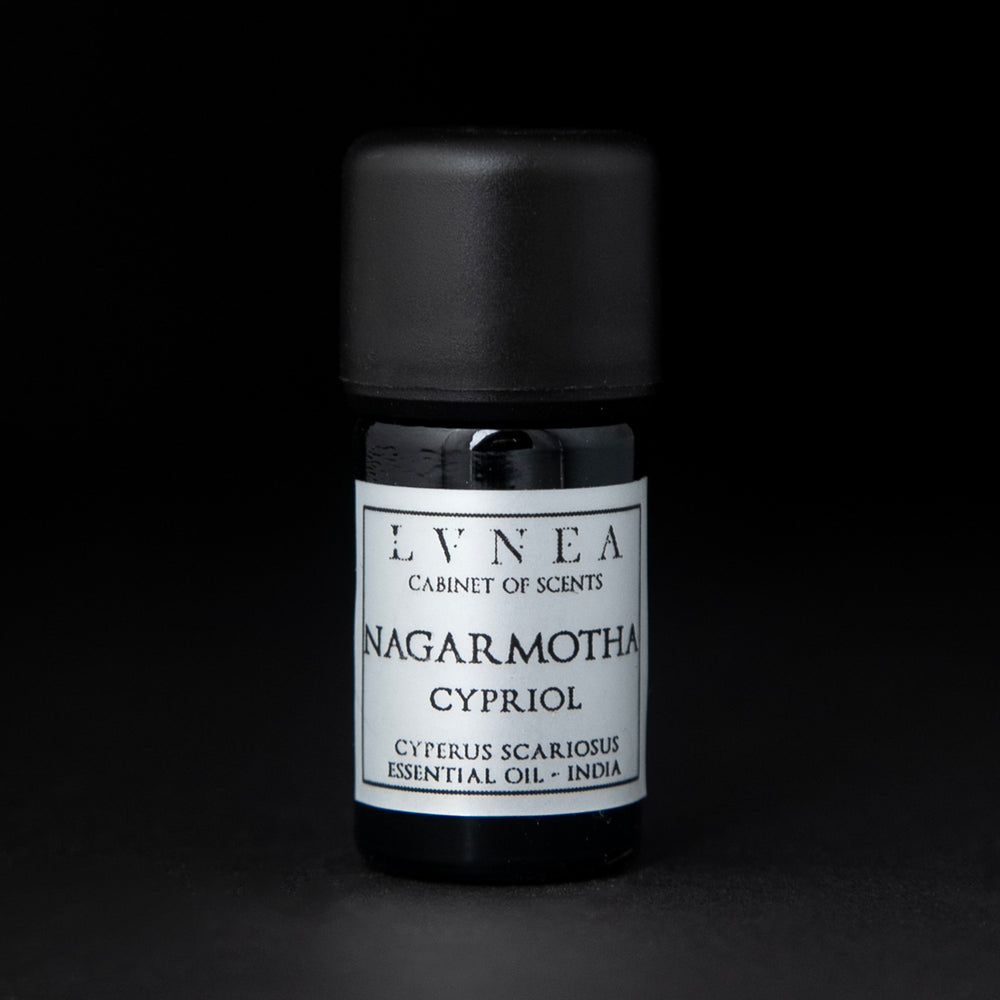 5ml black glass bottle of LVNEA's nargamotha essential oil on black background. The label on the bottle is silver.